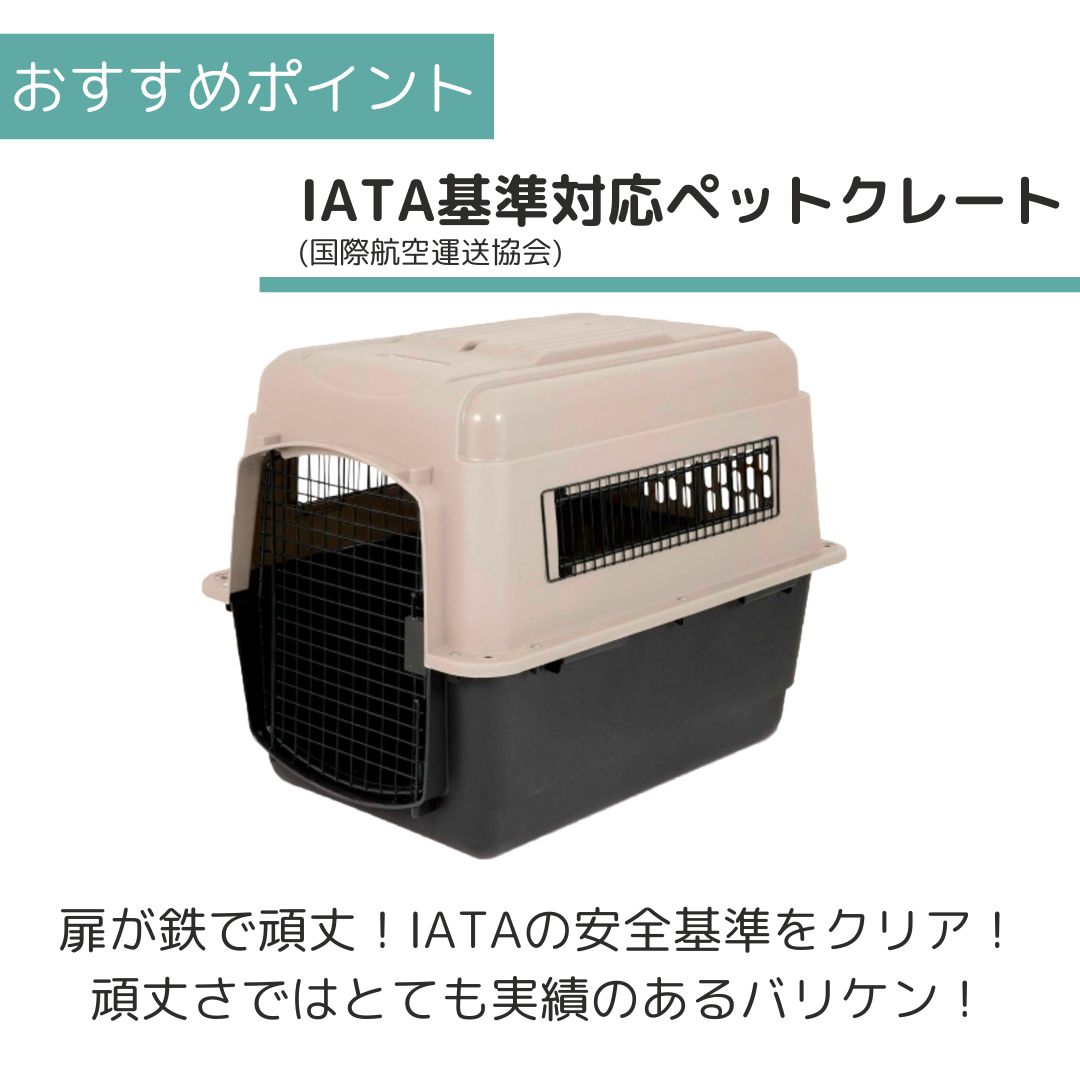 ��3��ܰʹ�����ͽ�������̵�� �ڥåȥᥤ�� ����ȥ�Хꥱ��ͥ� L �ڥå��� ����  �Хꥱ�� Petmate