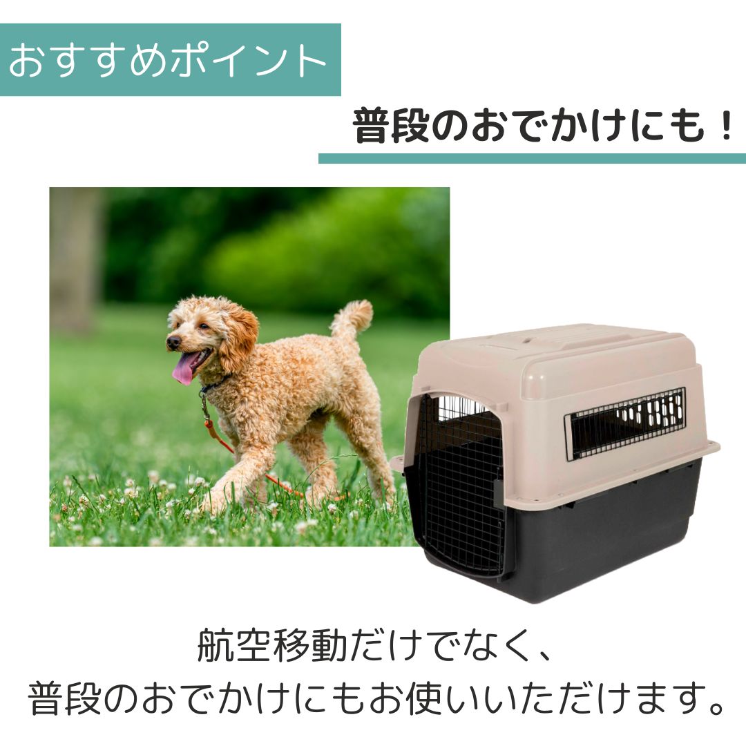 ��3��ܰʹ�����ͽ�������̵�� �ڥåȥᥤ�� ����ȥ�Хꥱ��ͥ� L �ڥå��� ����  �Хꥱ�� Petmate