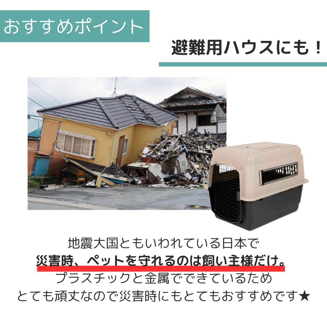 ��3��ܰʹ�����ͽ�������̵�� �ڥåȥᥤ�� ����ȥ�Хꥱ��ͥ� L �ڥå��� ����  �Хꥱ�� Petmate