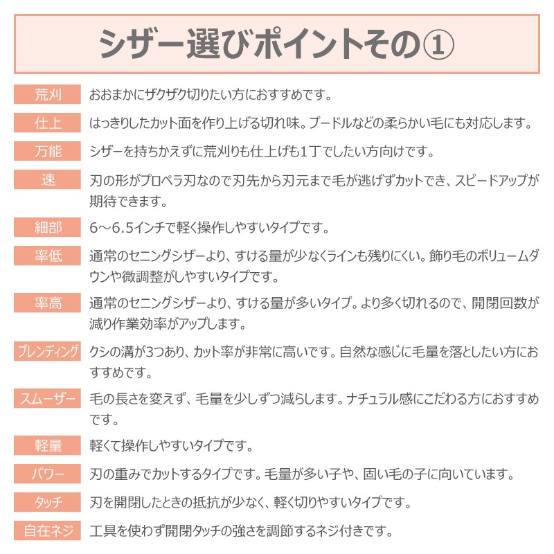 ̵ۡڥץ͡ۥȥߥ󥰥 ˥  ɥ꡼໺ Vegas special ž夲 ǽ Ψ ֥ǥ ̵ ڥå ϥ