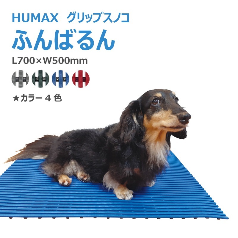 HUMAX ����åץ��Υ� �դ�Ф�� 700��500mm �ɥå��Х��˺�Ŭ ���åȤǤ��� ���餫�� PVC�Ǻ� �ɱ� ���� �ӿ� ����å��ɻ�