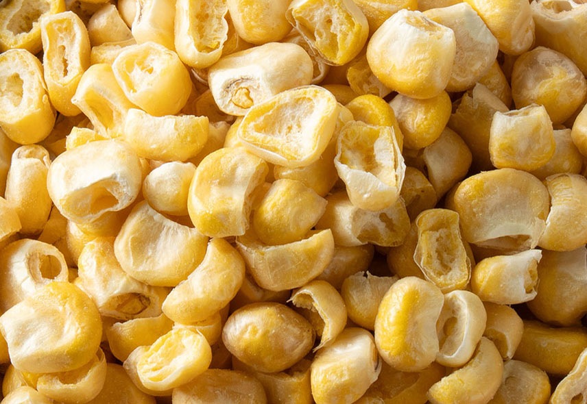 北海道産 野菜のおやつ とうもろこし