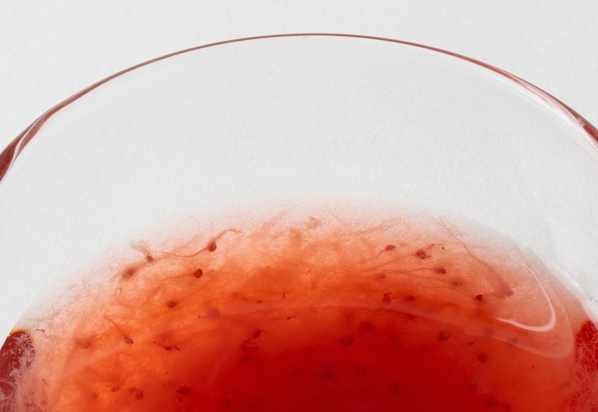 フルーツソース 北海道いちご