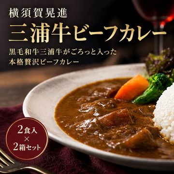 三浦牛ビーフカレー２食入×２箱セット