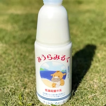 みうらみるく 低温殺菌牛乳 900ml×2本