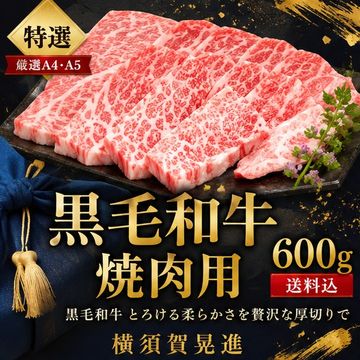 【特選】黒毛和牛焼肉用 600g/送料込