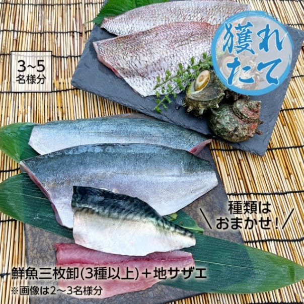 獲れたて鮮魚(三枚卸)3種以上＋地サザエ【三浦半島直送 漁師が厳選