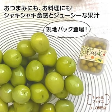 【トレー 種付きオリーブ 250g】シチリア産 ノッチェラーラ ベリーチェ 種あり