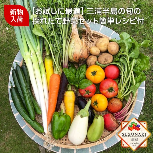 【すぽっく】野菜セット ノウフク“ カラフル野菜セット 6～8種 【栽培期間中 農薬化学