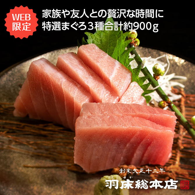 クール便【300枚】ヒノキ・ヒバ・あすなろ　いろどり　かいしき　つま クール便【300枚】ヒノキ・ヒバ・あすなろ いろどり かいしき