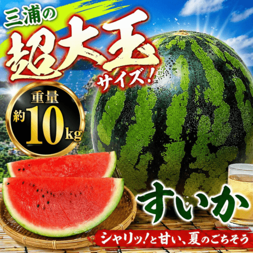 6/下旬まで予約/7月15日頃出荷予定】三浦の超大玉サイズのすいか(約