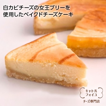 ベイクドブリーチーズケーキ 
