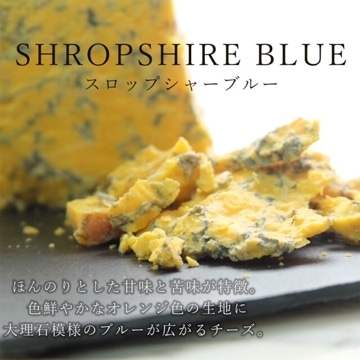 イギリス産 スロップシャーブルー 150g