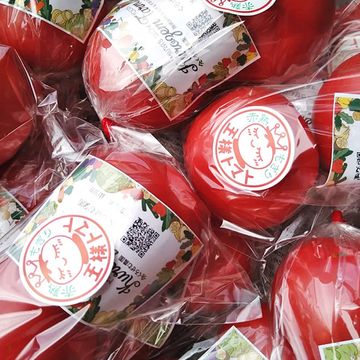 【7/20まで予約受付/7月出荷予定】王様トマト 3.7Kg