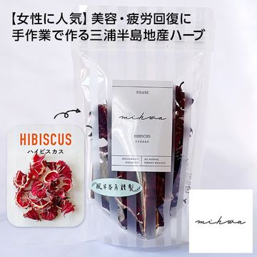 【三浦半島】ハイビスカス