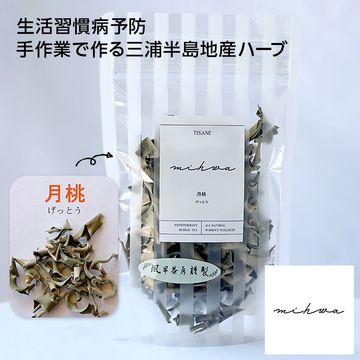 【三浦半島】月桃