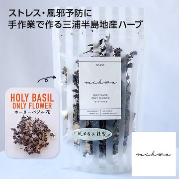 【三浦半島】ホーリーバジル花