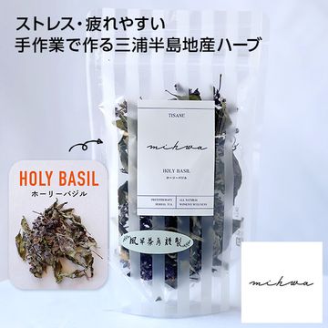 【三浦半島】ホーリーバジル
