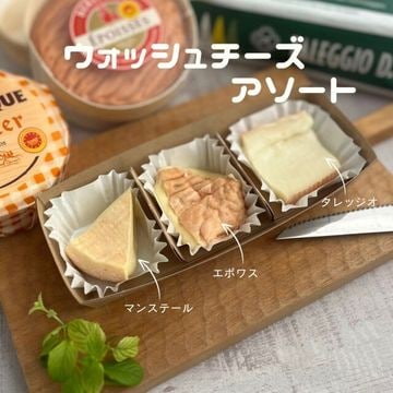 【 ウォッシュ チーズ アソート 】食べきりサイズ盛り合わせ