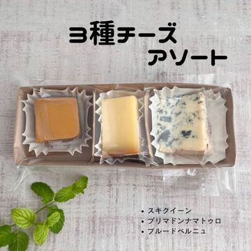 【 3種 チーズ アソート 】 スキクイーン プリマドンナ・マトゥロ・ブルード ベルニュ