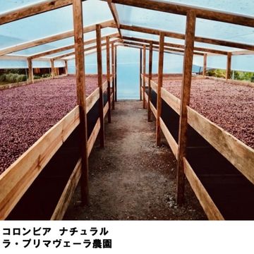 60g コロンビア ラ プリマヴェーラ 浅煎り