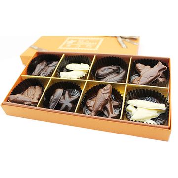 おさかな貝チョコレート
