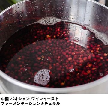 100g 中国 バオシャン ワインイーストファーメンテーションナチュラル 浅煎り