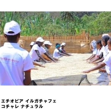 100g エチオピア コチャレ ナチュラル 浅煎り
