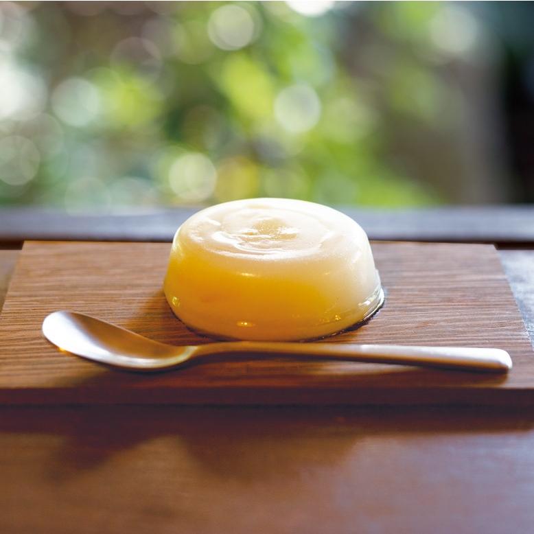 夏柑葛餅 9個入｜葉山 夏みかん｜葉山日影茶屋｜DOSKA