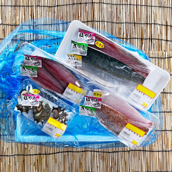 獲れたて鮮魚(三枚卸)3種以上＋地サザエ【三浦半島直送 漁師が厳選