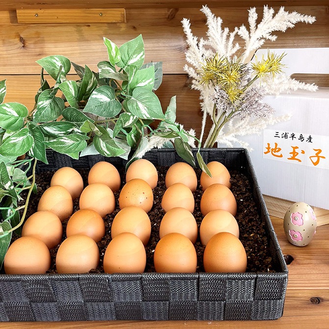 たまご 1_000000001627.jpg?1722339255