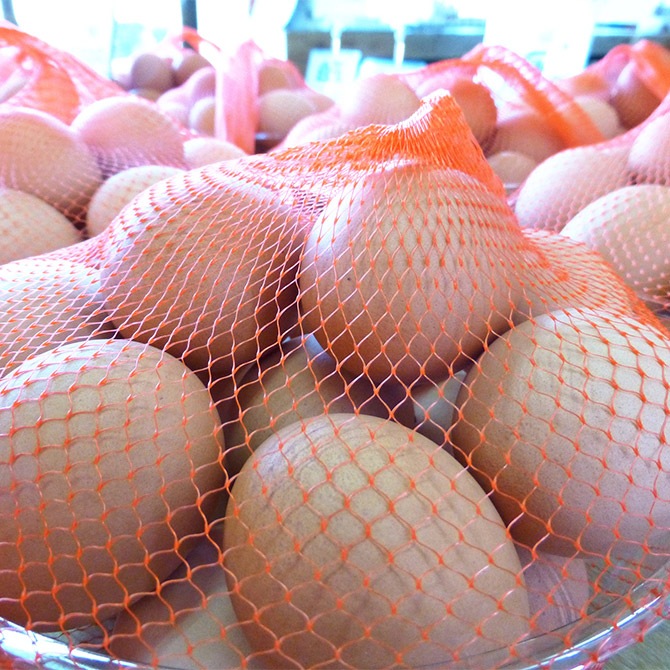 三浦半島産地玉子20個入セット｜姫様たまご・赤玉子｜岩沢ポートリー