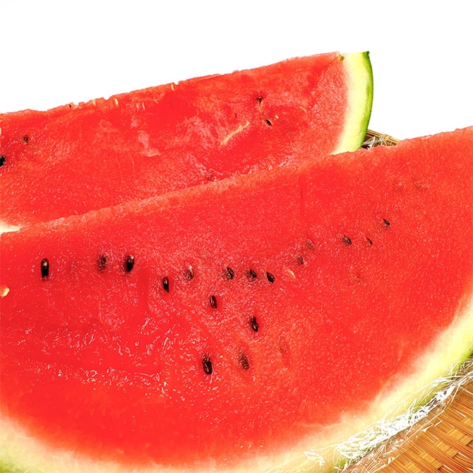 6/30まで予約/7月出荷予定】三浦の大玉サイズのすいか1玉(約8kg