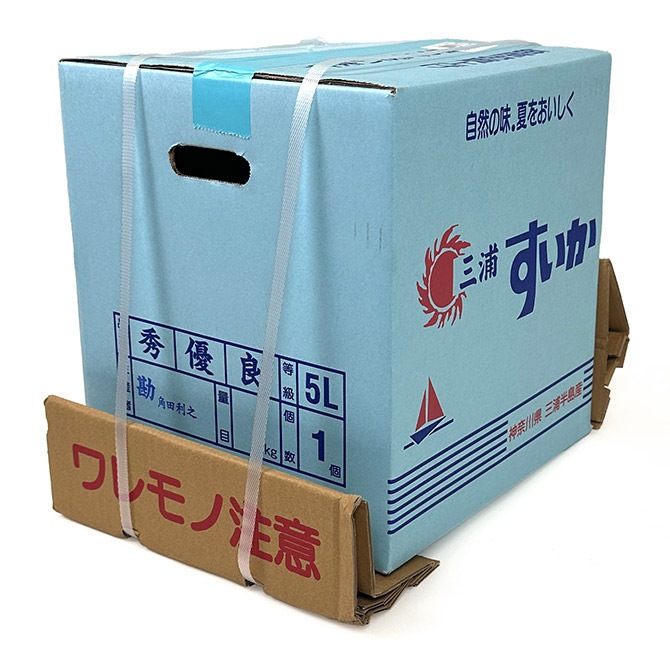 6/下旬まで予約/7月15日頃出荷予定】三浦の超大玉サイズのすいか(約