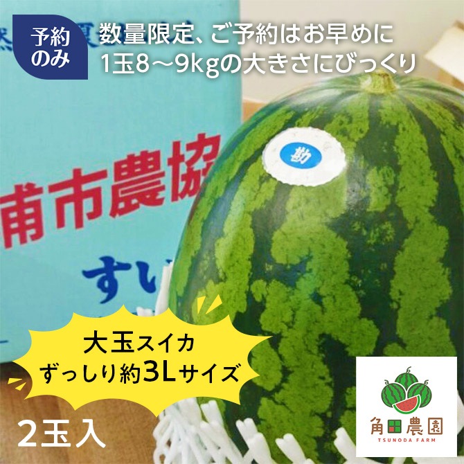 6/下旬まで予約/7月15日頃出荷予定】三浦の超大玉サイズのすいか(約