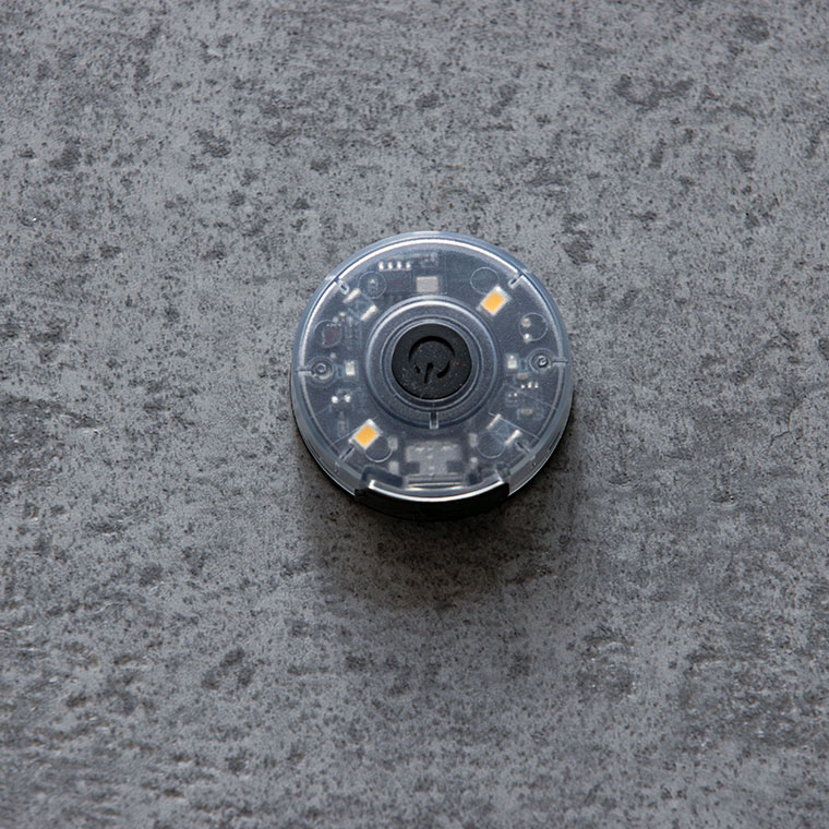 ON THE X-TAGE ウォールナット