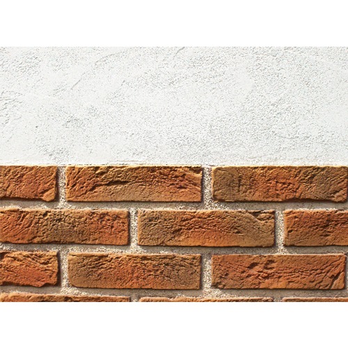 ����ʥ�������D100����������