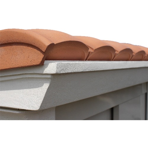 ����ʥ�������D50����������