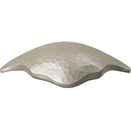 ɽ�����������ȥ���󡡥��饷�å�����С���100V