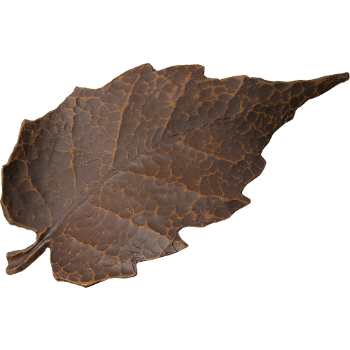 ɽ�������꡼�ա��֥��󥺡�12V