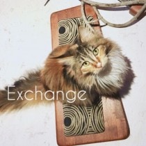  ORIGINAL Cat Scrather-Board MidcenturyޤȤܡɸ