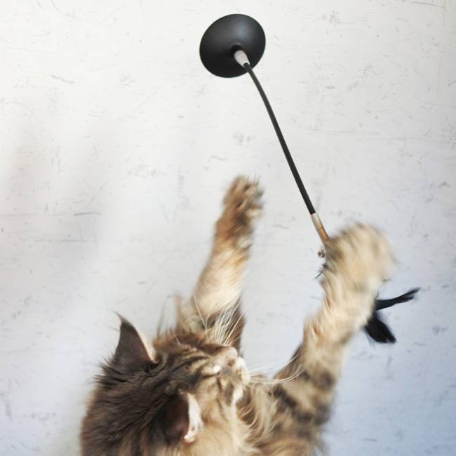 Pidan - Cat Teaser Wand Shake-Shake/吸盤付き羽猫じゃらし