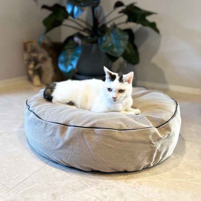 ORIGINALCOTTON CANVAS ROUND CUSHION BED-piping
