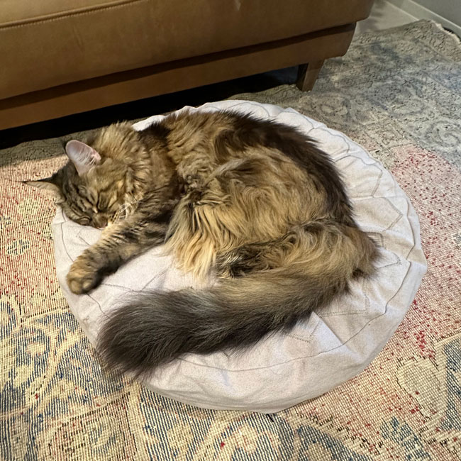 ��ORIGINAL��COTTON CANVAS ROUND CUSHION BED-embroidery