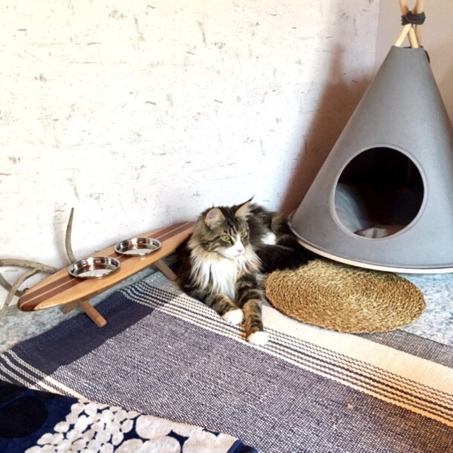 Choco TENT-INHERENT by KOREA���������ڥåȥƥ�ȡ��ƥ��ԡ��ϥ���