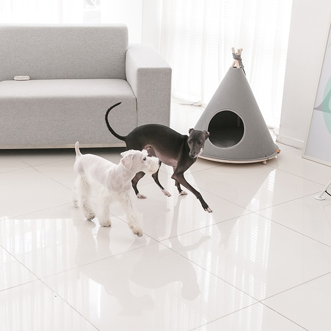 Choco TENT-INHERENT by KOREA���������ڥåȥƥ�ȡ��ƥ��ԡ��ϥ���