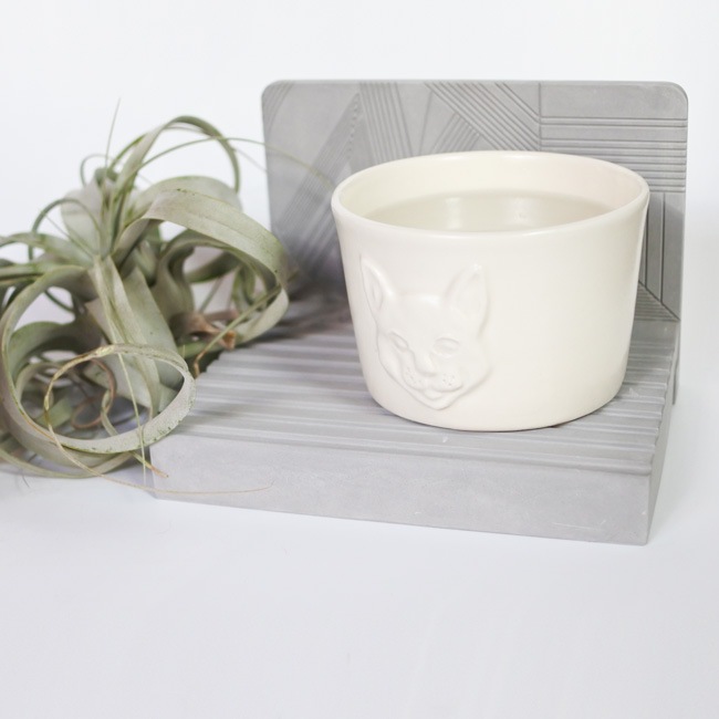 ��ORIGINAL �����ڿ��֤���ǭ�ѿ������� / Waterbowl station L