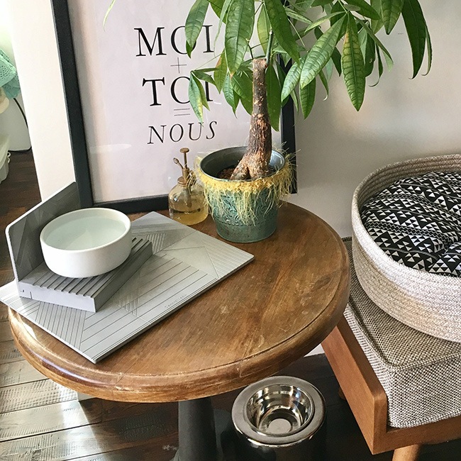 ��ORIGINAL �����ڿ��֤���ǭ�ѿ������� / Waterbowl station L