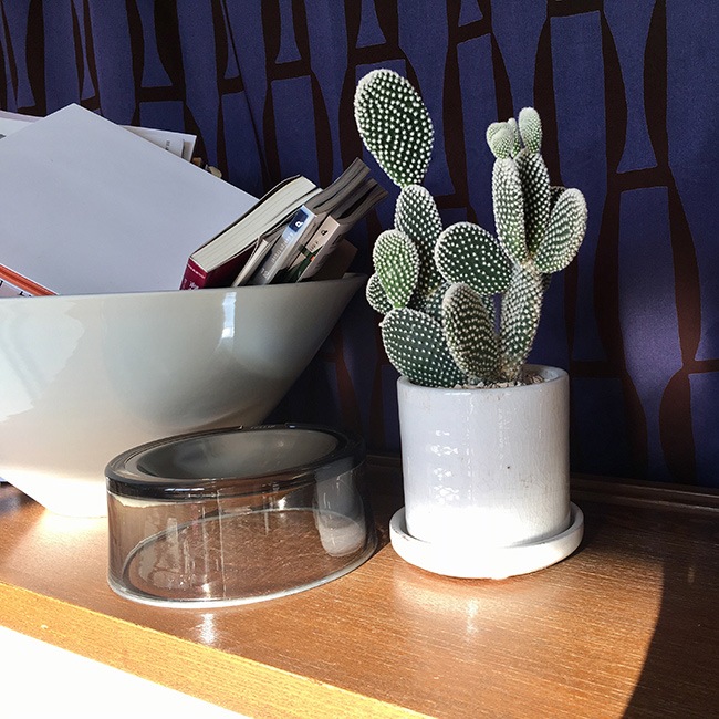 ڥڥåȥաɥܥۥ륬饹ǭѱ» / FelliP Kaleido Pet Bowl Lordly Puss - Felli Pet USA