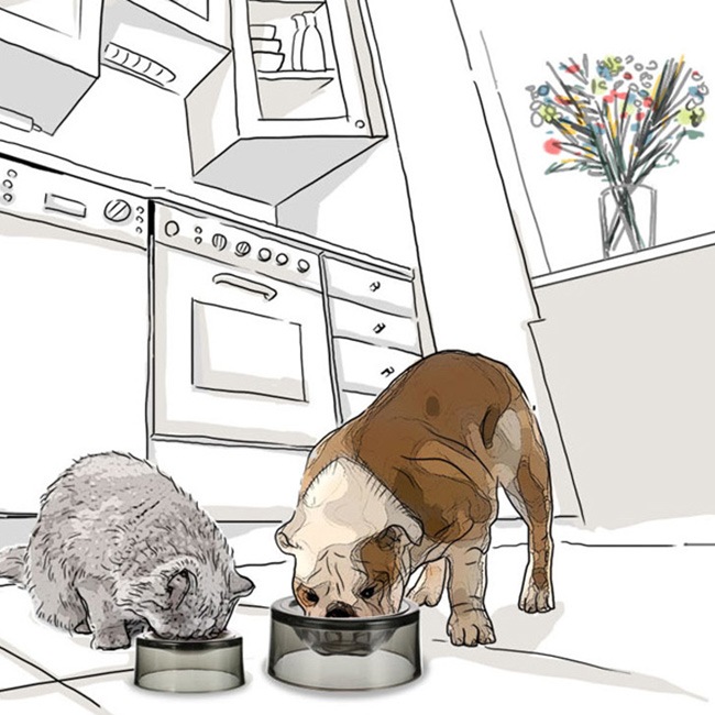 ڥڥåȥաɥܥۥ륬饹ǭѱ» / FelliP Kaleido Pet Bowl Lordly Puss - Felli Pet USA